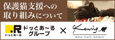 保護猫支援への取り組みについて