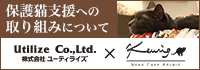 保護猫支援への取り組みについて