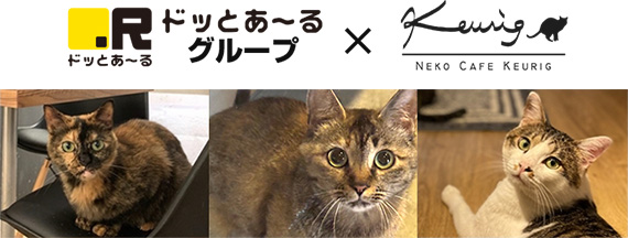 ドッとあ～るグループ × 猫カフェ キューリグ